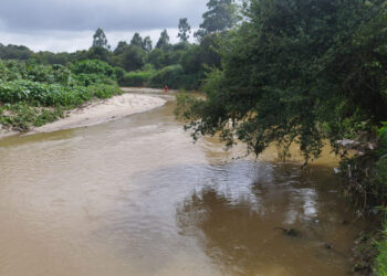 Com drone e GOST, bombeiros continuam busca por garoto que teria se afogado no Rio Barigui