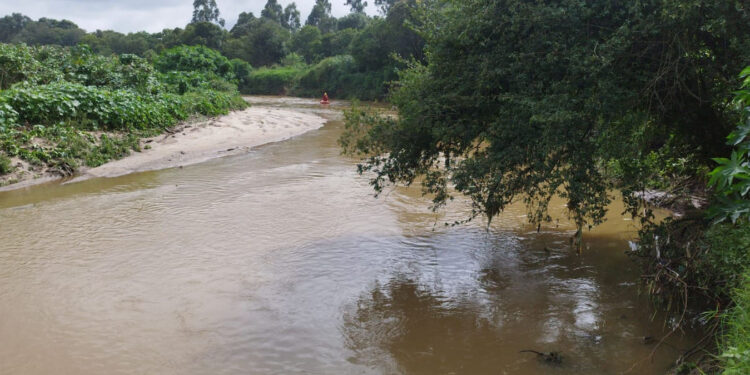Com drone e GOST, bombeiros continuam busca por garoto que teria se afogado no Rio Barigui