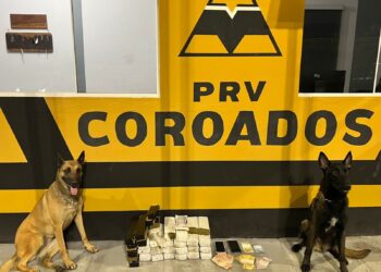 PMPR prende mulher que transportava mais de 20 quilos de maconha no litoral