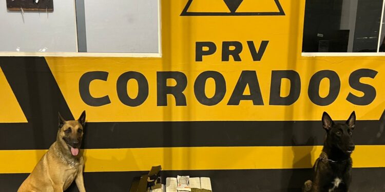 PMPR prende mulher que transportava mais de 20 quilos de maconha no litoral