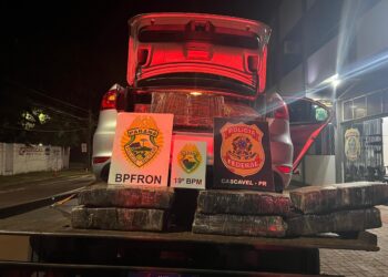 Polícia Militar do Paraná apreende quase 400 quilos de maconha em rodovia estadual na região oeste