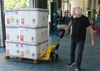 Paraná recebe 332 mil vacinas contra gripe e se prepara para início da campanha