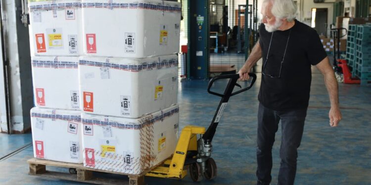 Paraná recebe 332 mil vacinas contra gripe e se prepara para início da campanha