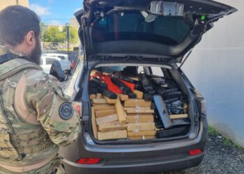 PRF realiza megaoperação e apreende drogas, cigarros e veículo furtado em Balsa Nova (PR)