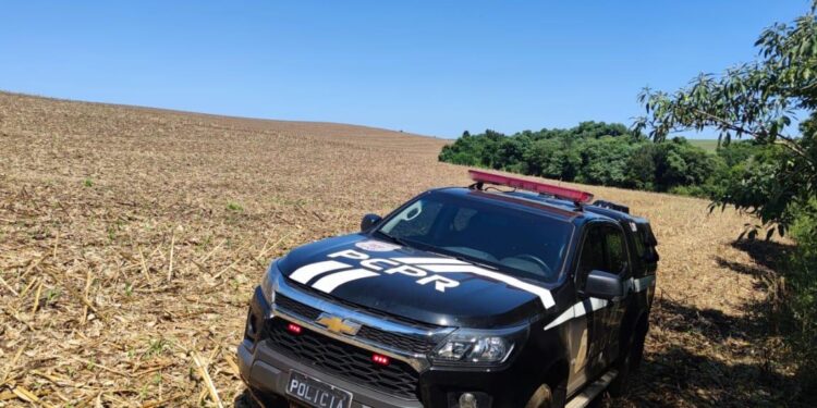 PCPR prende duas pessoas por homicídio e ocultação de cadáver