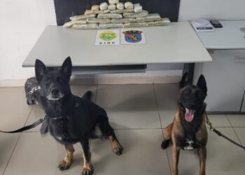 Polícia apreende mais de 10 kg de haxixe escondidos em veículo no Cajuru