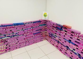 Polícia Militar apreende 245 kg de maconha escondidos em caminhão na Rodovia do Xisto