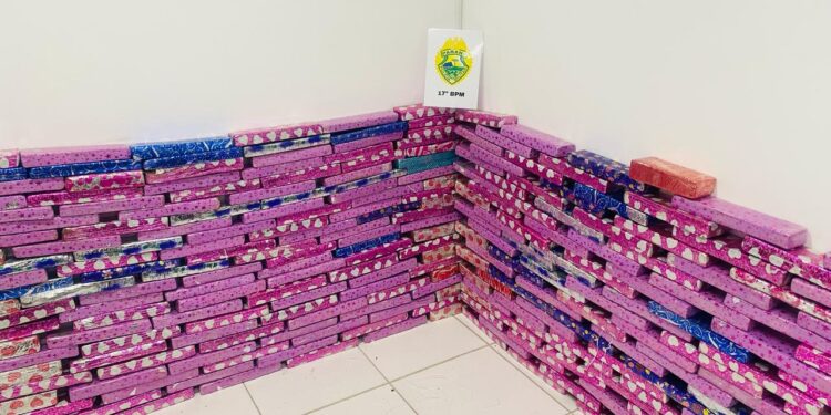 Polícia Militar apreende 245 kg de maconha escondidos em caminhão na Rodovia do Xisto