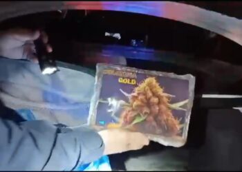 Casal é preso pela PRF com 39,2 kg de maconha escondidos em veículo