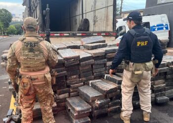 PRF apreende mais de 5 toneladas de maconha no Paraná