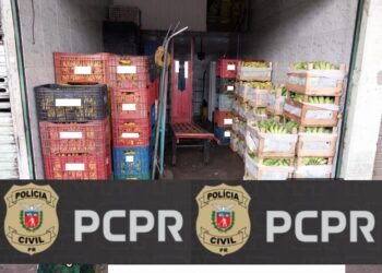 Polícia Civil prende suspeitos por furto e receptação de carga de bananas na CEASA