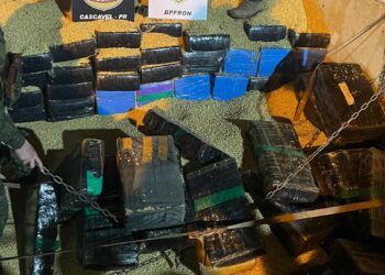 BPFRON e PF apreendem quase 2,4 toneladas de maconha escondidas em carga de soja