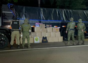 BPFRON e Polícia Federal apreendem quase uma tonelada de maconha e prendem motorista na BR-277