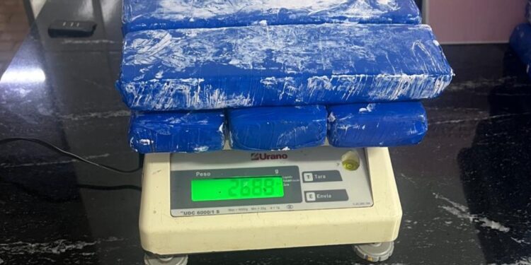 Indivíduo é preso com 14,5 kg de maconha em ônibus que seria entregue em Curitiba