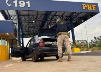 PRF apreende 220 kg de drogas e prende motorista no Paraná