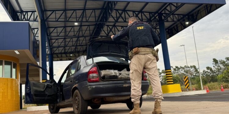 PRF apreende 220 kg de drogas e prende motorista no Paraná