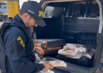 PRF apreende 30 kg de maconha em ônibus intermunicipal na BR-277
