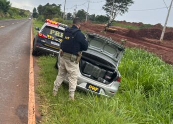 PRF apreende mais de 547 kg de maconha e prende motorista na PR-218