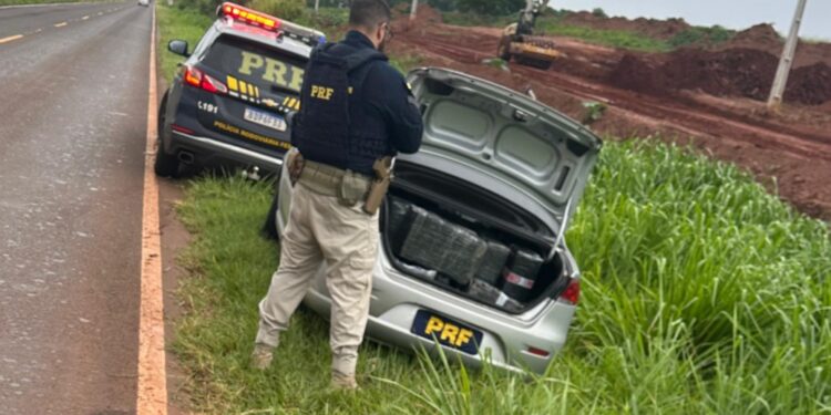 PRF apreende mais de 547 kg de maconha e prende motorista na PR-218