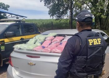 PRF apreende com mulher 90 mil comprimidos de ecstasy e faz 2ª maior apreensão da história da PRF