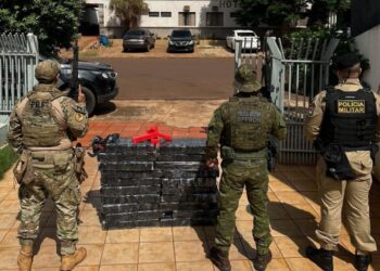 Operação conjunta prende traficante transportando 210kg de maconha