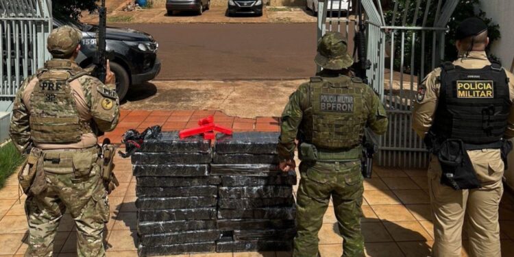 Operação conjunta prende traficante transportando 210kg de maconha