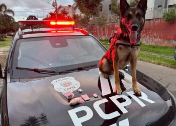 Polícia Civil cumpre 36 mandados contra organização criminosa ligada ao tráfico e lavagem de dinheiro