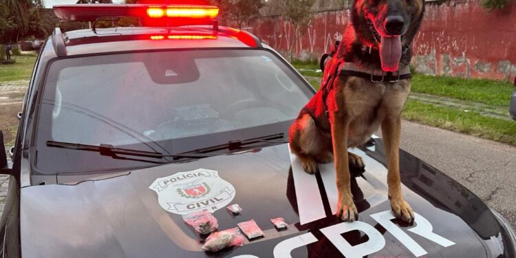 Polícia Civil cumpre 36 mandados contra organização criminosa ligada ao tráfico e lavagem de dinheiro