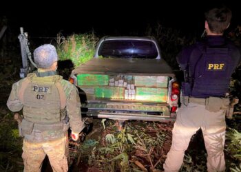 PRF apreende mais de 1 tonelada de maconha em duas ocorrências simultâneas