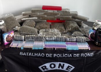 RONE apreende grande quantidade de drogas em Fazenda Rio Grande
