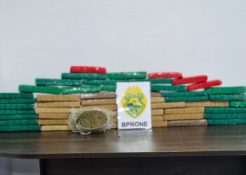 RONE apreende 29,4 kg de maconha em residência abandonada em Fazenda Rio Grande