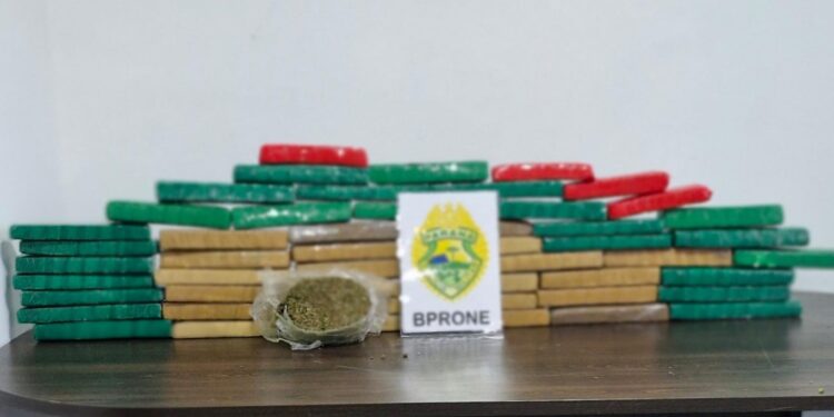 RONE apreende 29,4 kg de maconha em residência abandonada em Fazenda Rio Grande