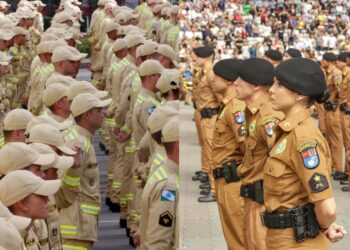Editais publicados: Paraná abre concursos para contratar 2 mil policiais militares e 600 bombeiros