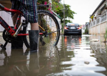 Saúde alerta para aumento de casos de leptospirose em Curitiba e gravidade da doença
