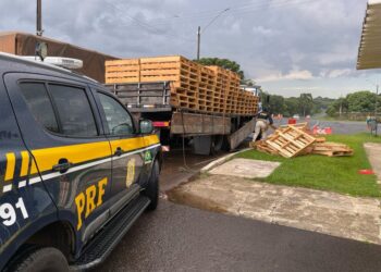 PRF apreende mais de uma tonelada de maconha escondida dento de paletes