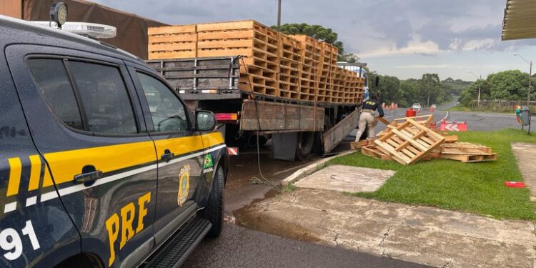 PRF apreende mais de uma tonelada de maconha escondida dento de paletes