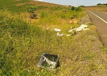 DER/PR alerta para riscos do descarte irregular de lixo em rodovias estaduais