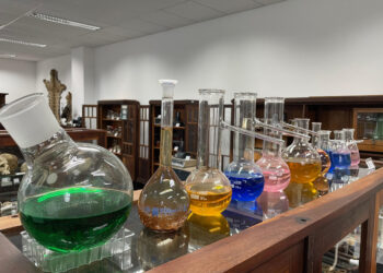 Museu Paranaense de Ciências Forenses entra na rota do turismo científico do Estado