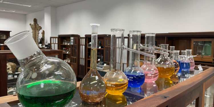 Museu Paranaense de Ciências Forenses entra na rota do turismo científico do Estado