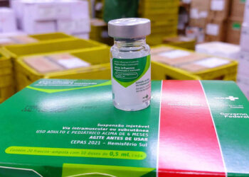 Influenza: vacinação para crianças, idosos e gestantes entra na rotina anual do SUS