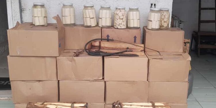 IAT apreende 318 quilos de palmito industrializado de maneira clandestina