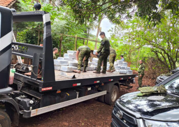 Com apoio de cão de faro, PMPR encontra 2 toneladas de drogas e armas em bunker
