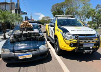 Batalhão da PM apreende 109 quilos de maconha em rodovia