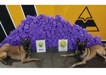 PM apreende 21 mil cigarros eletrônicos e 238 kg de maconha