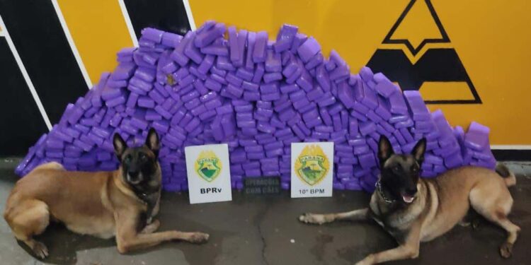 PM apreende 21 mil cigarros eletrônicos e 238 kg de maconha