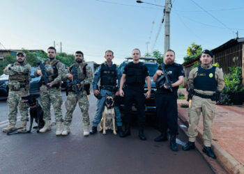 Operação integrada: PCPR, PMPR e PPPR prendem 10 pessoas por homícidio e tráfico