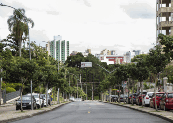 Censo do IBGE mostra que Curitiba é a capital com vias mais arborizadas do Sul e Sudeste do Brasil