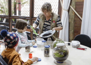 Oficina de Terrário: aprenda a criar um miniecossistema dentro de um vidro