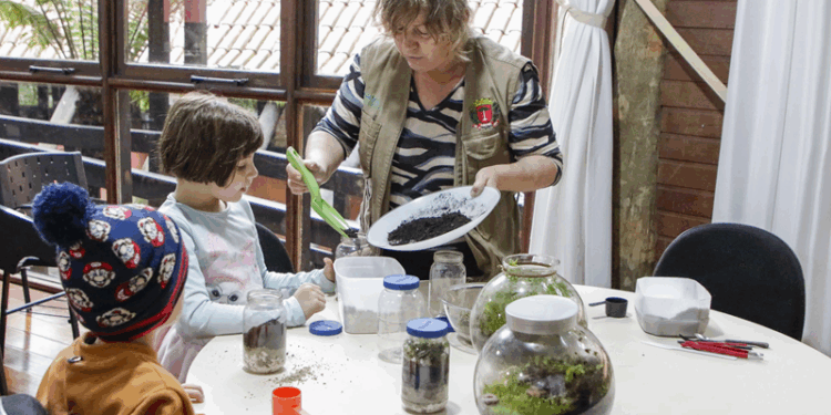 Oficina de Terrário: aprenda a criar um miniecossistema dentro de um vidro