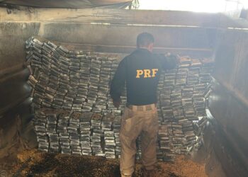 PRF apreende mais de 600 kg de cocaína no Paraná e realiza a maior apreensão da droga no país em 2025